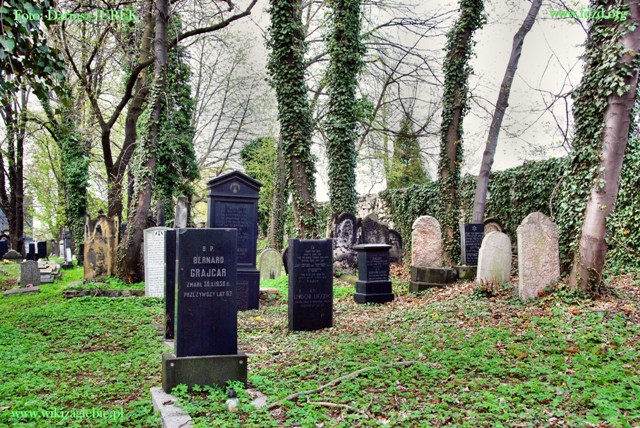 Plik:Sosnowiec Cmentarz żydowski 037.JPG