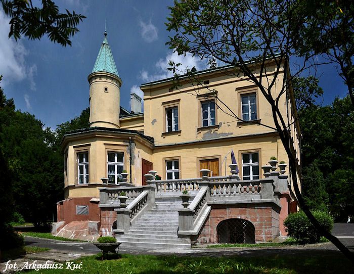 Plik:Pałac Ciechanowskich.jpg