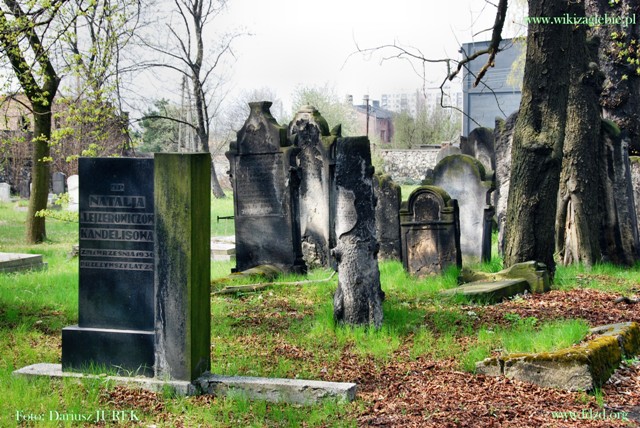 Plik:Sosnowiec Cmentarz żydowski 012.JPG
