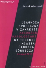 Diagnoza zagrożeń patologiami Dąbrowa Górnicza.jpg