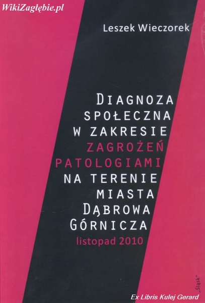 Plik:Diagnoza zagrożeń patologiami Dąbrowa Górnicza.jpg