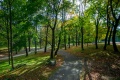 Park Dietla w Sosnowcu .jpg