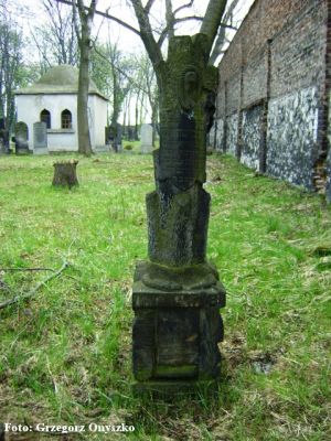 Sosnowiec (Pogon). Cmentarz żydowski. Zdjęcie macew. 008.JPG