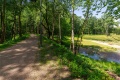 Park Tysiąclecia, Milowice, Sosnowiec, okolice stawu.jpg