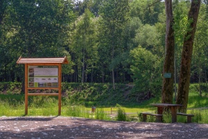 Ścieżka przyrodnicza, Woda w parku, Park Tysiąclecia, Milowice, Sosnowiec.jpg
