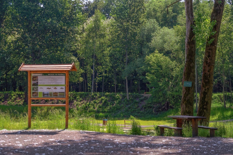 Plik:Ścieżka przyrodnicza, Woda w parku, Park Tysiąclecia, Milowice, Sosnowiec.jpg