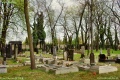 Sosnowiec Cmentarz żydowski 020.JPG