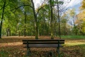 Ławeczka w Parku Schoena przy Muzeum w Sosnowcu.jpg