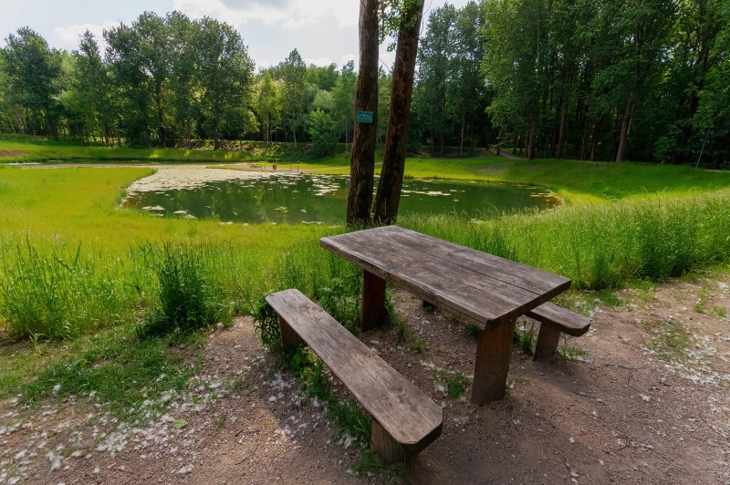 Plik:Park Tysiąclecia w Sosnowcu - miejsce wypoczynkowe nad stawem.jpg