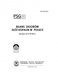 Bilans kopalin w Polsce 2013.jpg