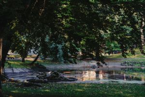Park Dietla w Sosnowcu - oczko wodne z fontanną.jpg