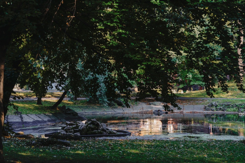Plik:Park Dietla w Sosnowcu - oczko wodne z fontanną.jpg