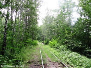 Sosnowiec. Dandowka. Linia kolejowa piaskowa Kopalni Hrabia Renard (potem Sosnowiec). 02.jpg