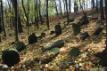 Cmentarz żydowski w Będzinie 02.JPG