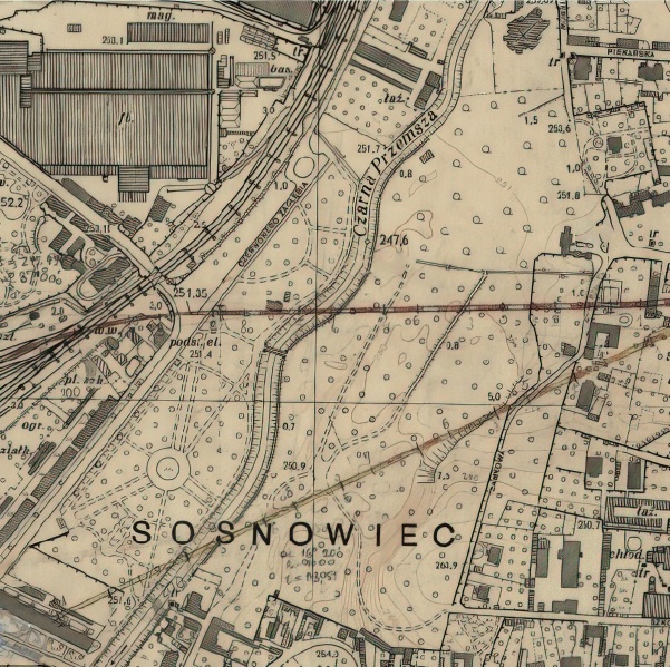 Plik:Park Sielecki w Sosnowcu w 1950 roku.jpeg