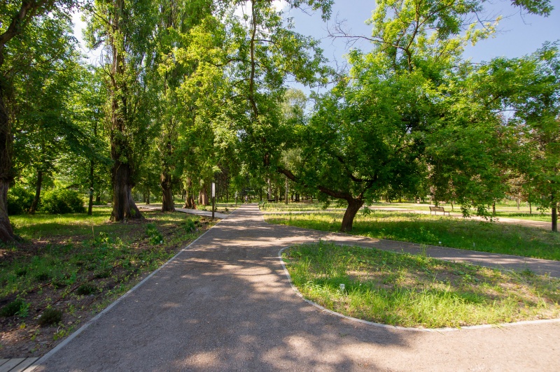 Plik:Park Bioróżnorodności w Sosnowcu-1.jpg