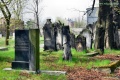 Sosnowiec Cmentarz żydowski 012.JPG